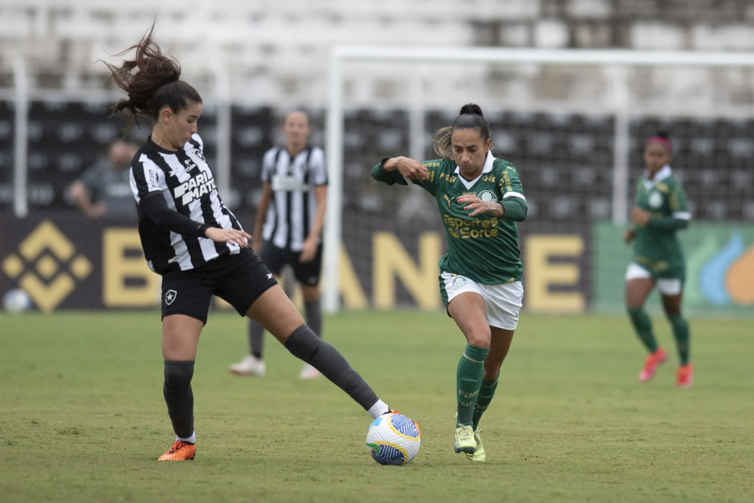 Palmeiras x Botafogo: duelo decisivo na Arena Barueri hoje - Imagem do artigo original