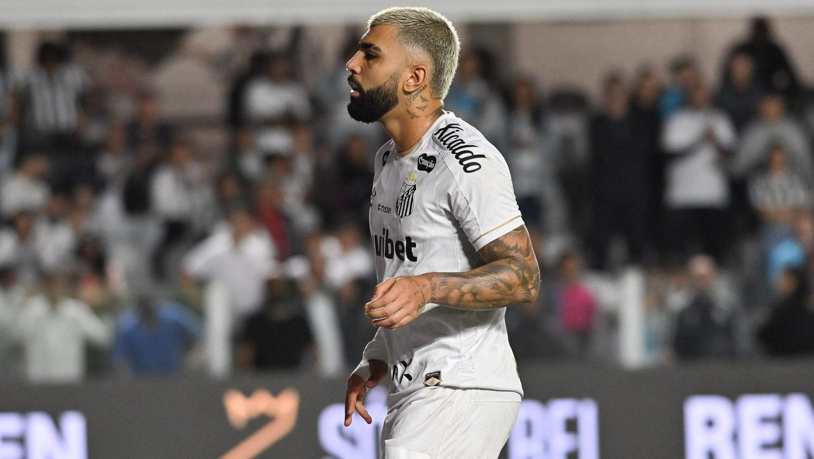 Neto expulso por xingar árbitro em Bahia x Botafogo - Imagem do artigo original