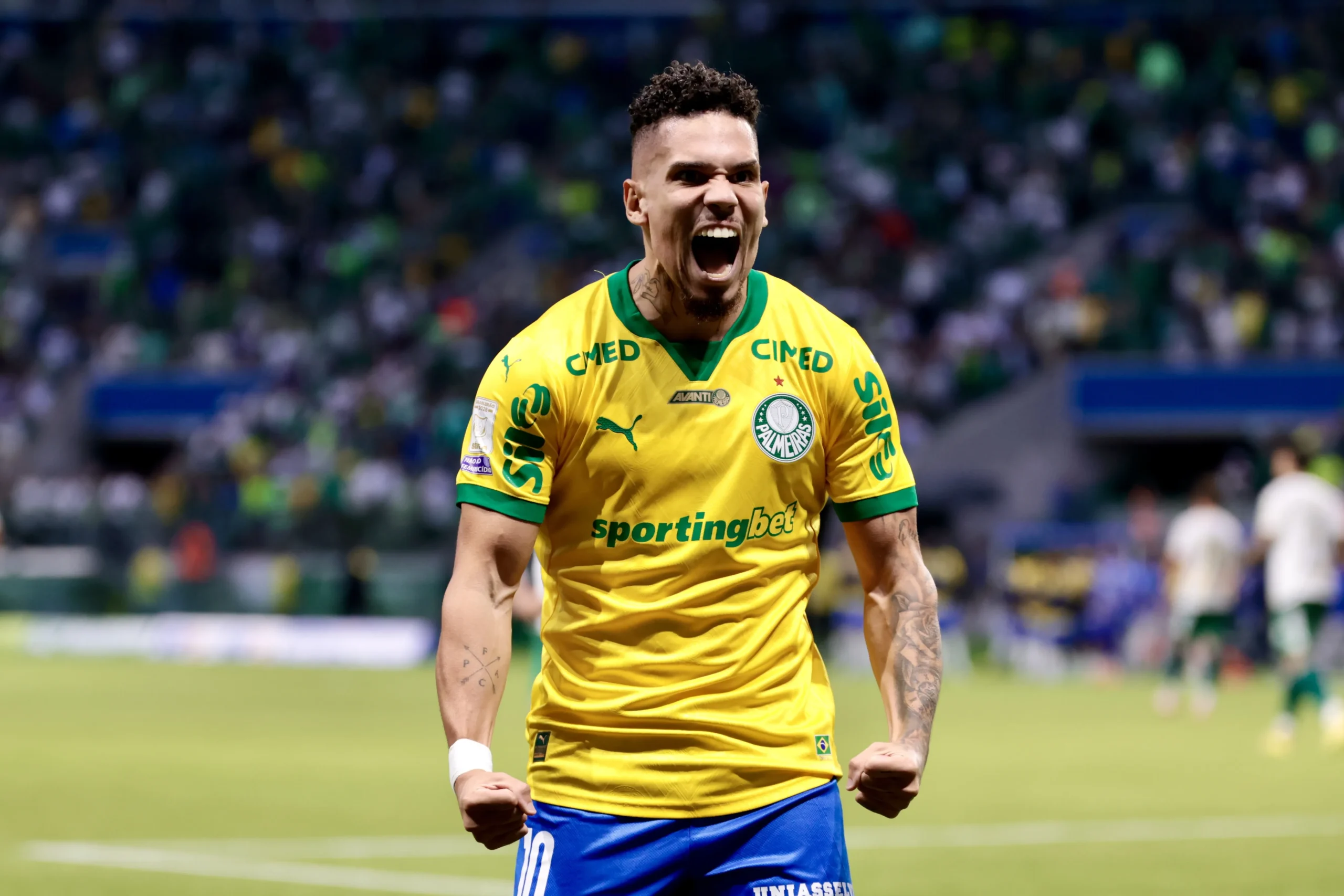 Palmeiras supera Chapecoense com gol de Paulinho e mantém liderança - Imagem do artigo original
