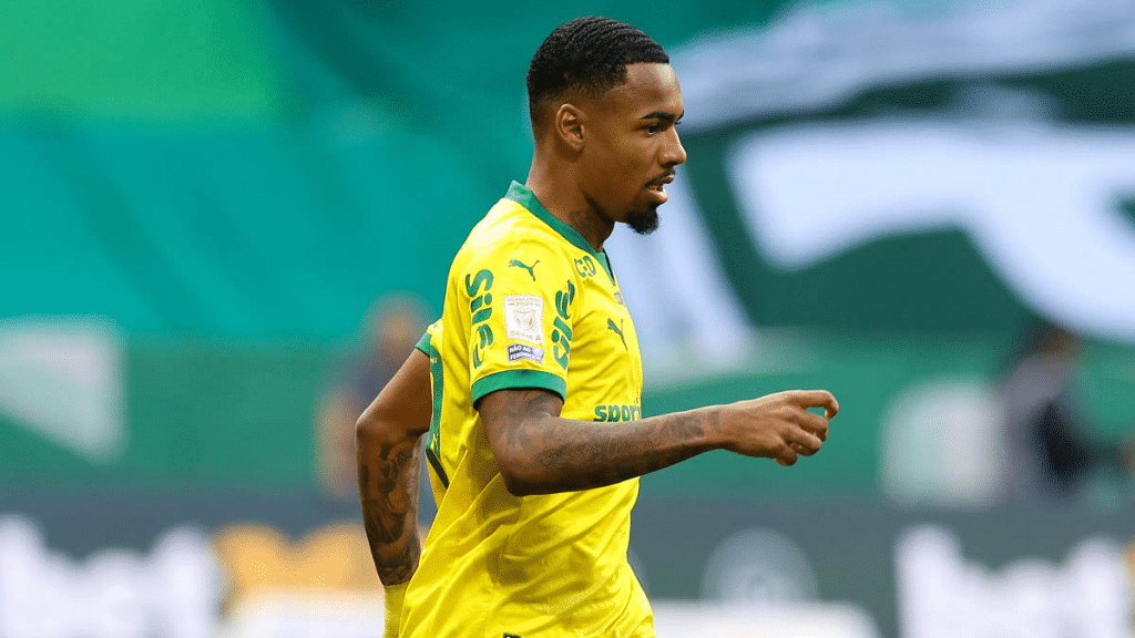 Chapecoense x Avaí: João Paulo mira título Sul-Sudeste - Imagem do artigo original